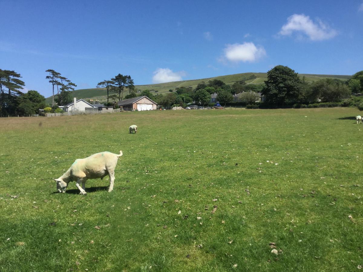 Plas Y Nant Llwyngwril Exteriör bild